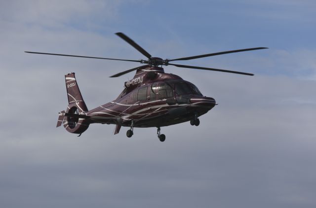 G-CEOJ — - eurocoptere dauphin
