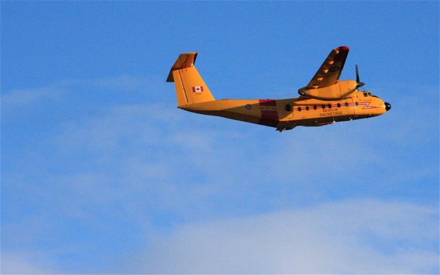 11-5462 — - RCAF Search and Rescue Buffalo departing Nanaimo ( CYCD ) for Comox. Jan 14th 2012