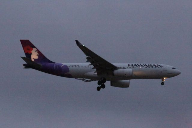 Airbus A330-200 (N393HA)