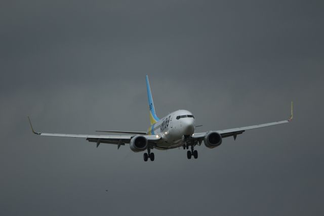 Boeing 737-700 (JA16AN) - May 6th 2020:NGO-HKD.