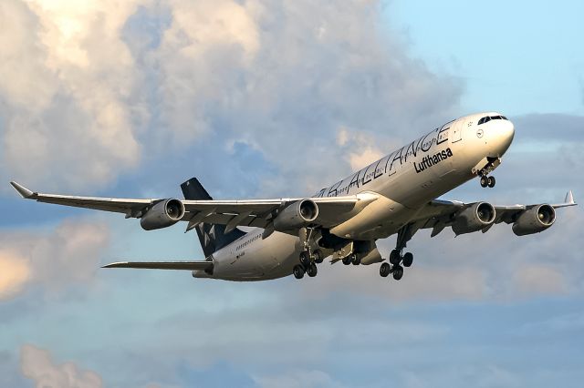 Airbus A340-300 (D-AIGN)