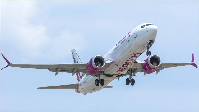 Boeing 737 MAX 8 (9Y-GUY)