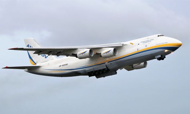 Antonov An-124 Ruslan (UR-82008) - adb an-124-100m ur-82008 dep shannon for jfk 31/10/20.