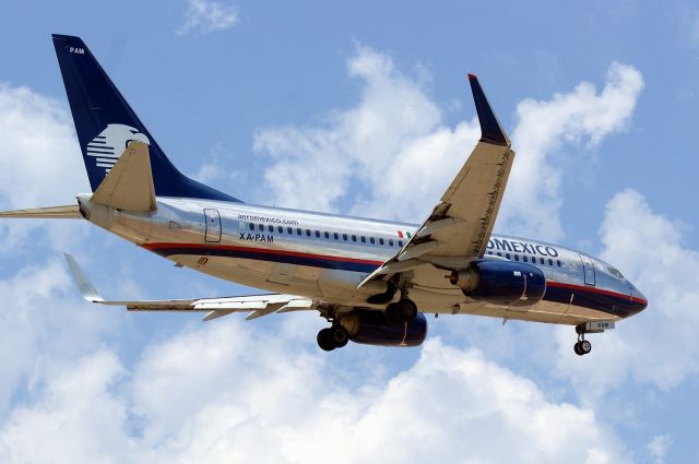 Boeing 737-700 (XA-PAM) - 30L approach.