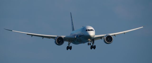 Boeing 787-8 (JA819A)