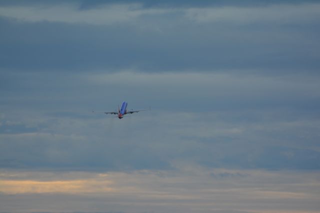 Boeing 737-800 (N8305E)