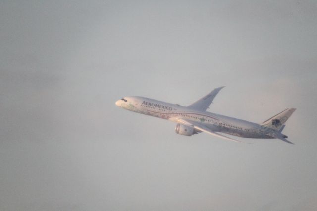 Boeing 787-9 Dreamliner (XA-ADL) - DEPARTURE FROM 27 MMTJ