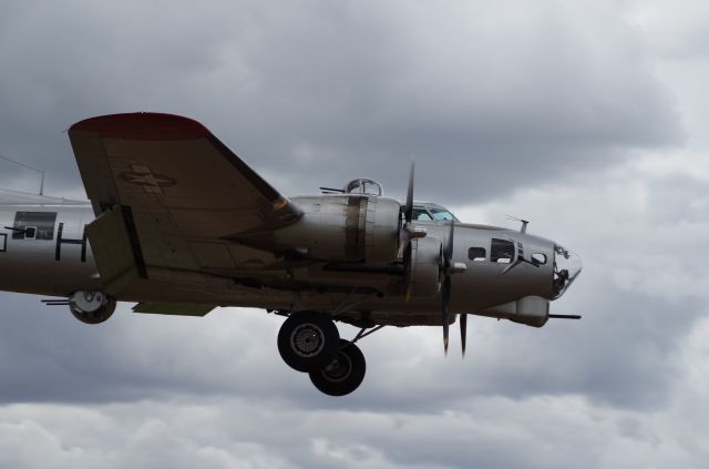 Boeing B-17 Flying Fortress (N5017N)