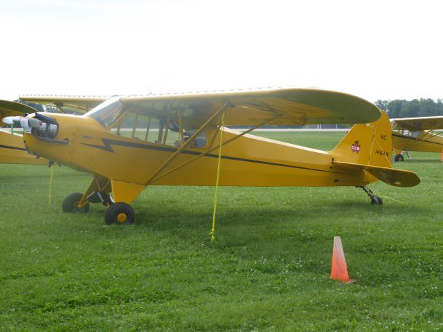 Piper L-18B Cub Special (N1464N)