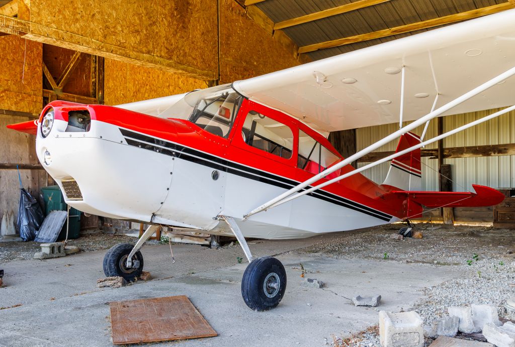 CHAMPION Sky-Trac (N1029E)