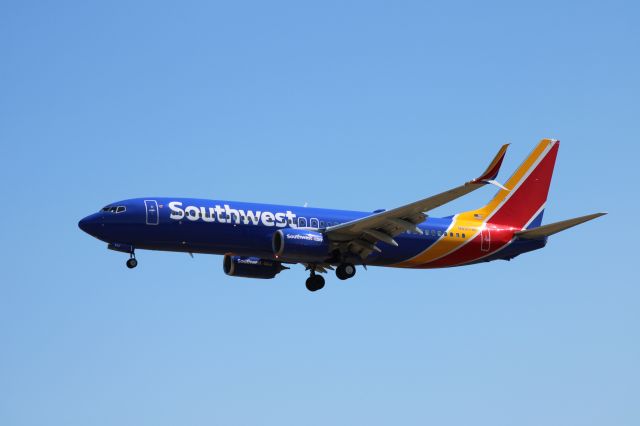 Boeing 737-800 (N8317M)