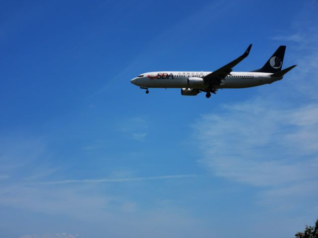 Boeing 737-800 (B-6987)