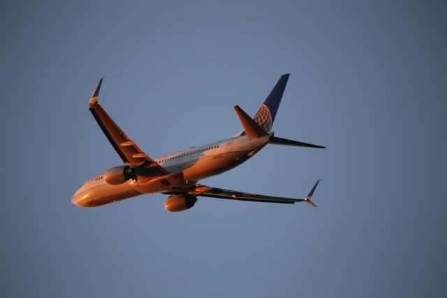 Boeing 737-800 (N87513)