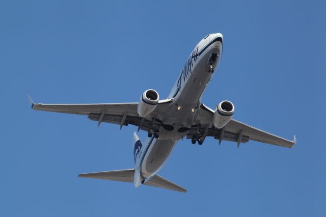 Boeing 737-800 (N525AS)