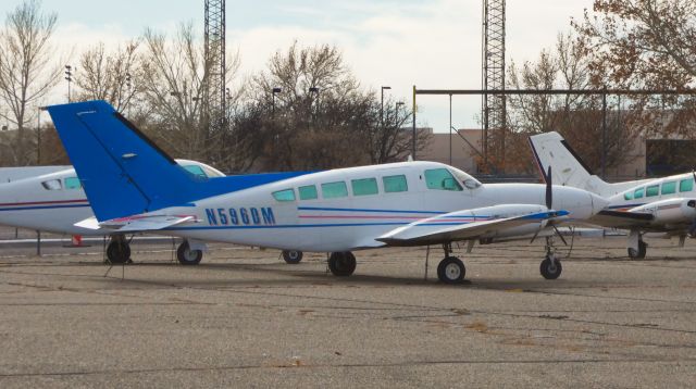 Cessna 402 (N596DM)