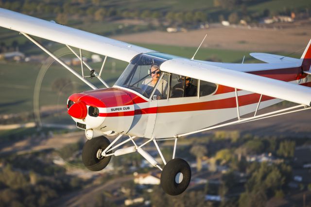 Piper L-21 Super Cub (N82505)