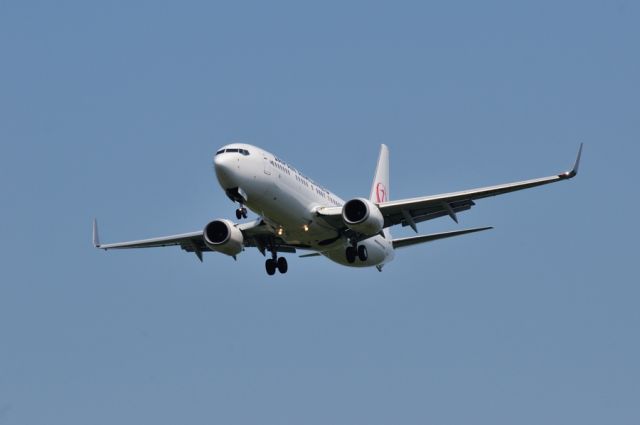 Boeing 737-800 (JA303J) - 2015/6/1