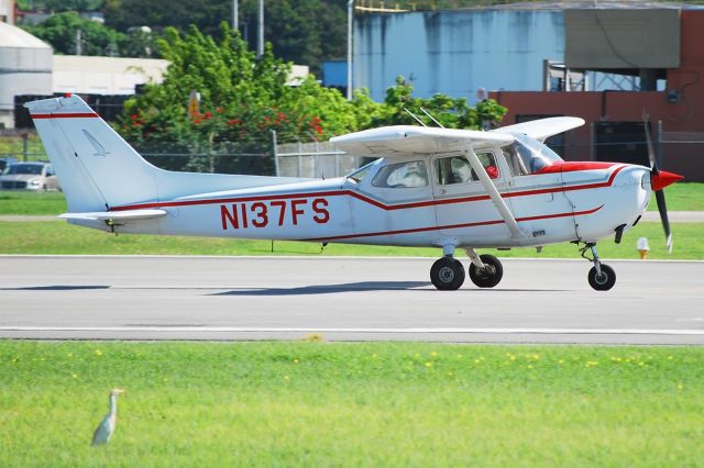 Cessna Skyhawk (N137FS)