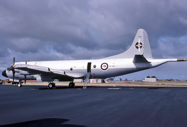 BOEING 747-8 (ANZ4201) - NEW ZEALAND - AIR FORCE LOCKHEED P3-B ORION REG NZ4201 (CN 185-5190) - EDINBURGH RAAF BASE ADELAIDE SA. AUSTRALIA - YPED (8/10/1981)