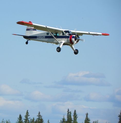 N5315G — - Love the sound of a radial engine. Beautiful and very well maintained.