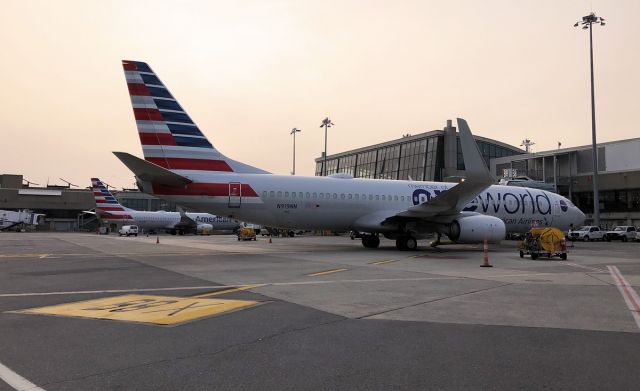 Boeing 737-800 (N919NN) - Sunrise -  AA OneWorld Special Livery