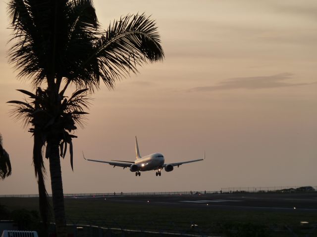 Boeing 737-800 —