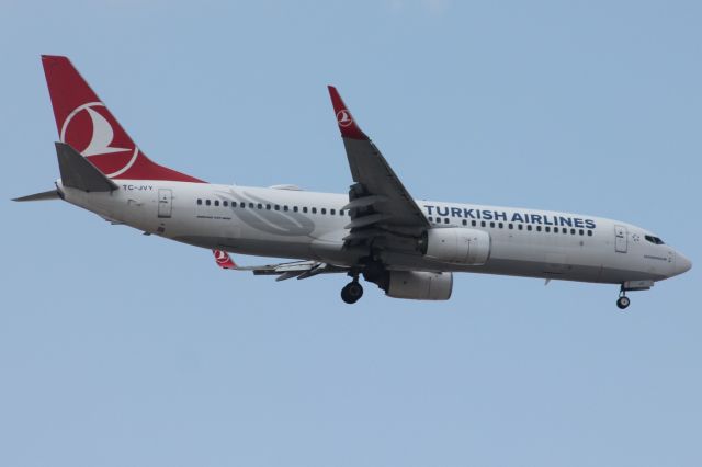 Boeing 737-800 (TC-JVY)