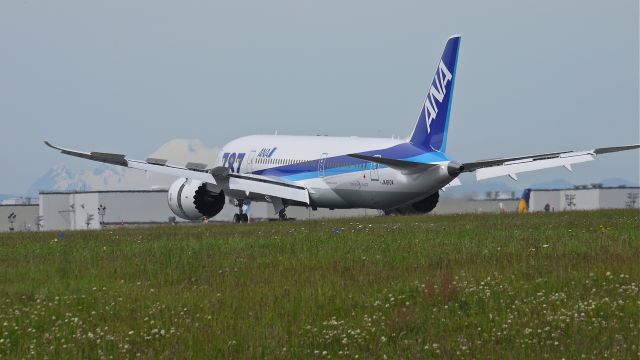 Boeing 787-8 (JA810A) - BOE507 (LN:48) touches down on runway 34L to complete a flight test on 6/15/12.