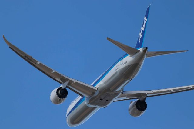 BOEING 787-10 Dreamliner (JA900A) - Go around and passing over us