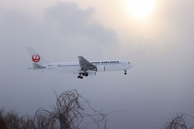BOEING 767-300 (JA610J) - December 18. 2022:HND-HKD.