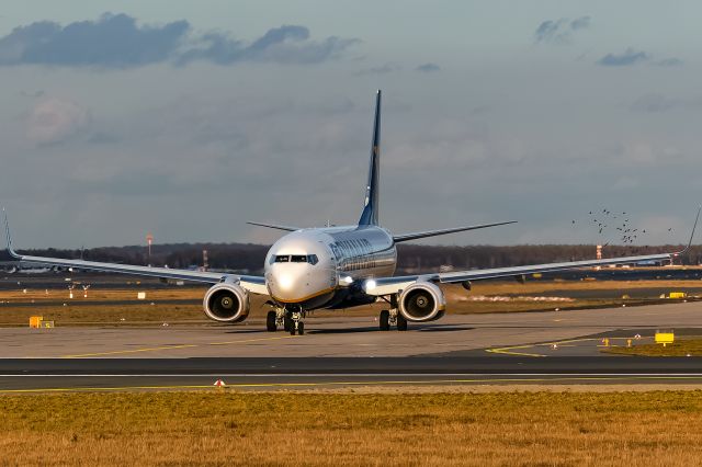 Boeing 737-800 (EI-GJF)