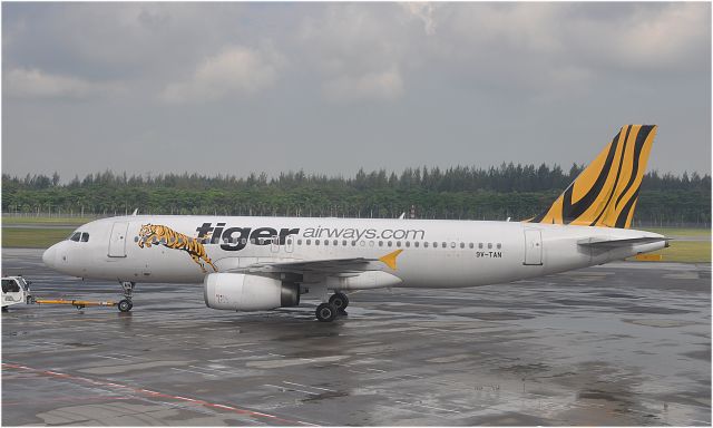 Airbus A320 (9V-TAN) - Singapore - Changi Internat. Airport from Lufthansa A380-