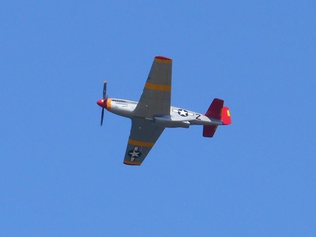 North American P-51 Mustang (N61429)