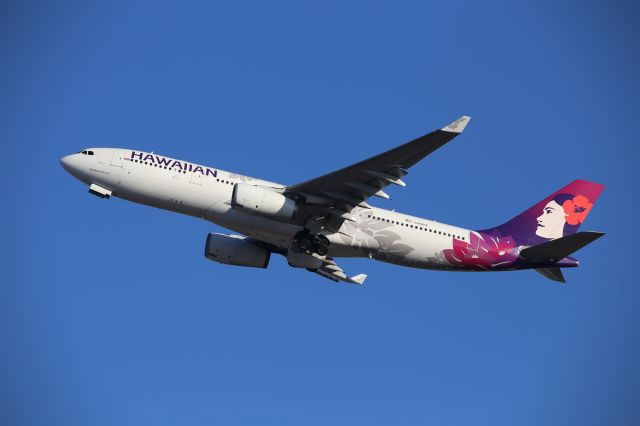 Airbus A330-200 (N384HA)