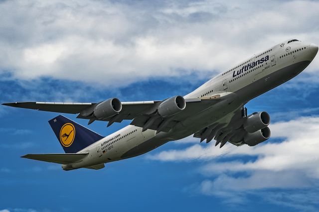 BOEING 747-8 (D-ABYG) - blue white