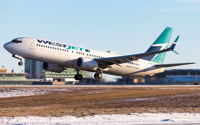 Boeing 737-800 (C-FCSX)