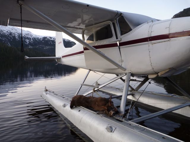 Cessna Skywagon 180 (N9788B)