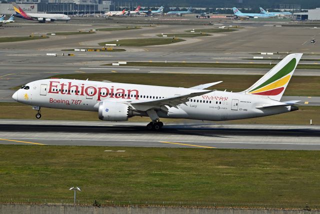 Boeing 787-8 (ET-AOS)