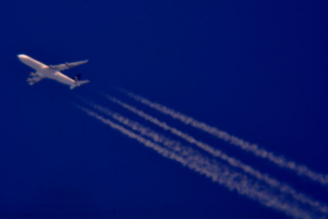 Airbus A340-300 (D-AIFF)