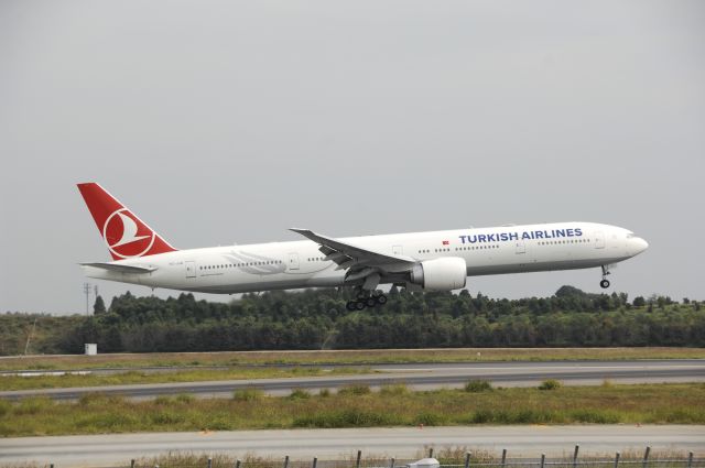 BOEING 777-300 (TC-JJG) - Landing at NRT Airport Runway 16L on 2011/10/9