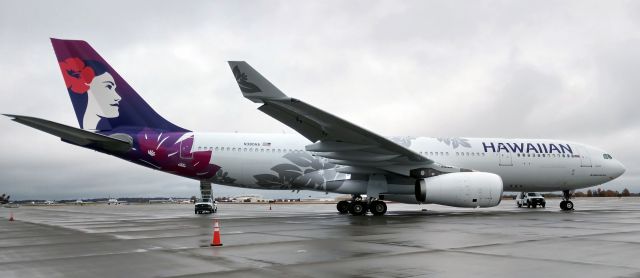 Airbus A330-200 (N380HA) - In CLT after a repaint in FCO and brought the Seahawks down to CLT for the game tomorrow.br /Seahawks won 30-27br /br /11/24/18