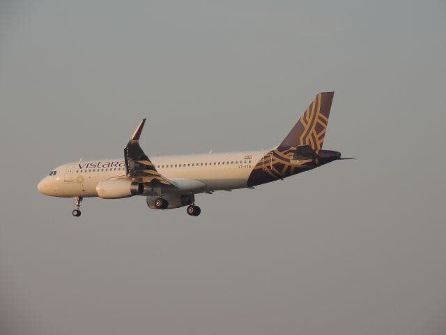 Airbus A320 (VT-TTG)