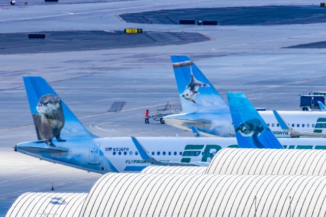 Airbus A320neo (N336FR) - A Frontier Airlines A320 neo "Rosie the River Otter" taxiing at PHX on 2/28/23. Taken with a Canon R7 and Canon EF 100-400 L ii lens.