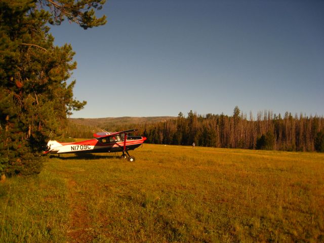 Cessna Skywagon 180 (N1709C)