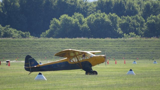 Piper L-18B Cub Special (N4957G)