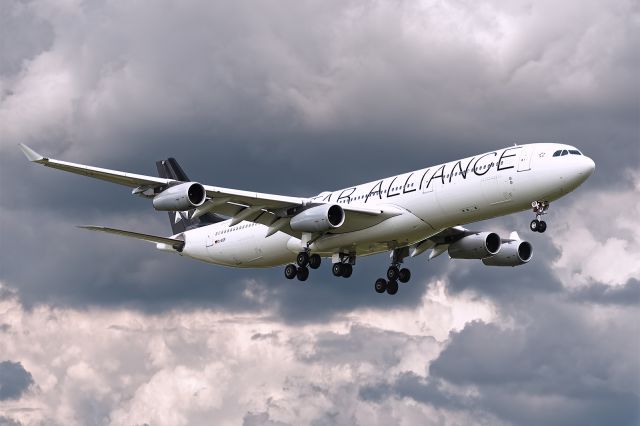 Airbus A340-300 (D-AIGP) - 9/26/2015. Second flight into Tampa on the new route from direct from Frankfurt. 