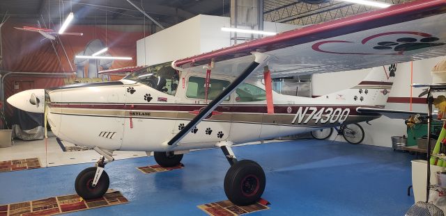 Cessna Skylane (N7430Q)