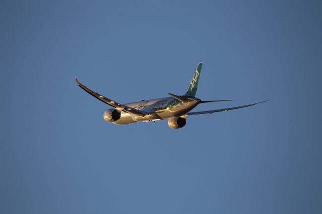 Boeing 787-9 Dreamliner (JA871A)