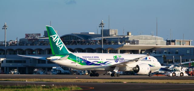 Boeing 787-8 (JA874A)