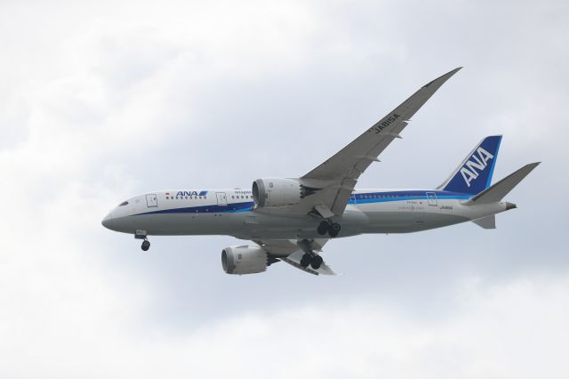 Boeing 787-8 (JA815A) - October 10, 2024:HND-HKD.